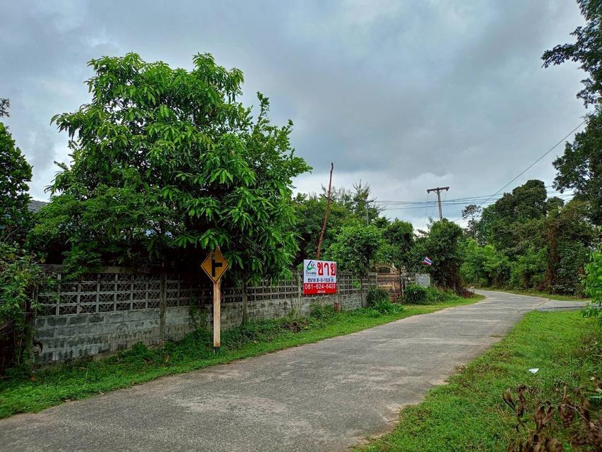 ขายที่ดินสวยๆ ติดถนน แปลงใหญ่ 8 ไร่กว่า ใน จ.อุบลราชธานี (N.1844) 7
