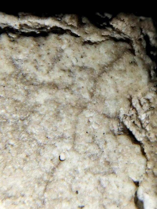 พระสมเด็จวัดระฆังพิมพ์อกกระบอกเล็ก รูปที่ 12