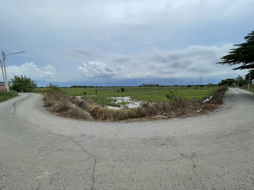 ขายที่ดิน เหมาะสำหรับการเกร็งกำไร บ้านหีบ อุทัย พระนครศรีอยุธยา 4