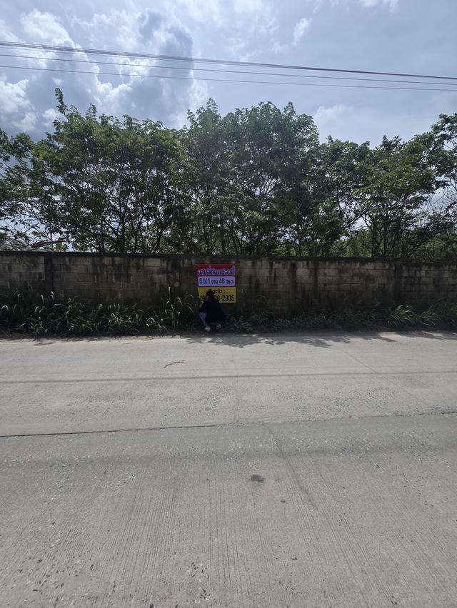 ที่ดินชลบุรี ใกล้ ชลบุรี แกลง 5