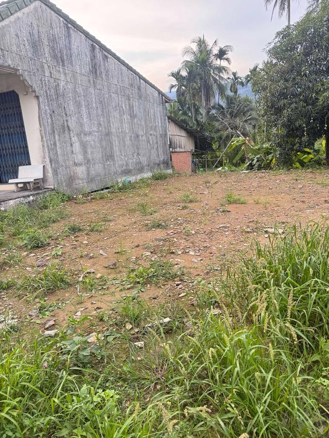 ขายที่ดินแถวร่อนพิบูลย์ ถนนเอเชีย 14 ตารางวา 1