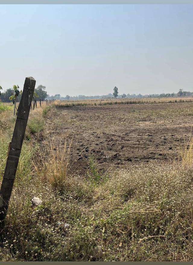 ขายที่ดิน 15 ไร่ ทำเลดี ติดกองบิน 4 ตาคลี เข้า ออกสะดวก น้ำไม่ท่วม 2