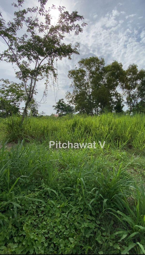 ขายที่ดิน 450 ตร.ว. หมู่บ้านปัญญา บางพระ ทำเลทอง อ.ศรีราชา จ.ชลบุรี เหมาะสร้างบ้านอยู่อาศัย โทร 063-469-5592 3