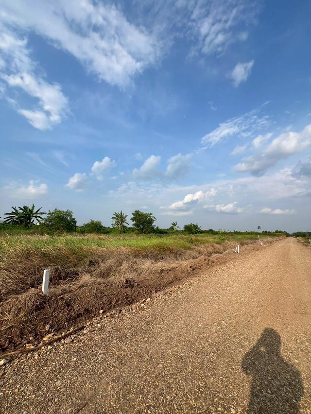 ที่ดินวิวบึง คลอง 10 หนองเสือ ปทุมธานี — แปลงละ 100 ตร.ว. 9