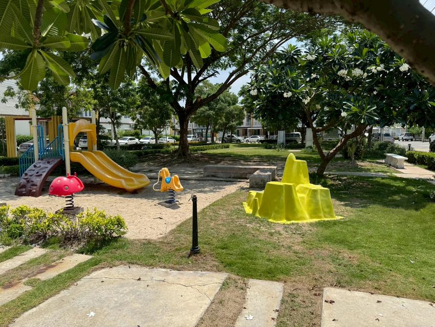 ให้เช่าทาวน์เฮ้าส์ โกลเด้น ทาวน์ ศรีนครินทร์-สุขุมวิท Pet-Friendly & ยินดีรับชาวต่างชาติ (N.2167) 17