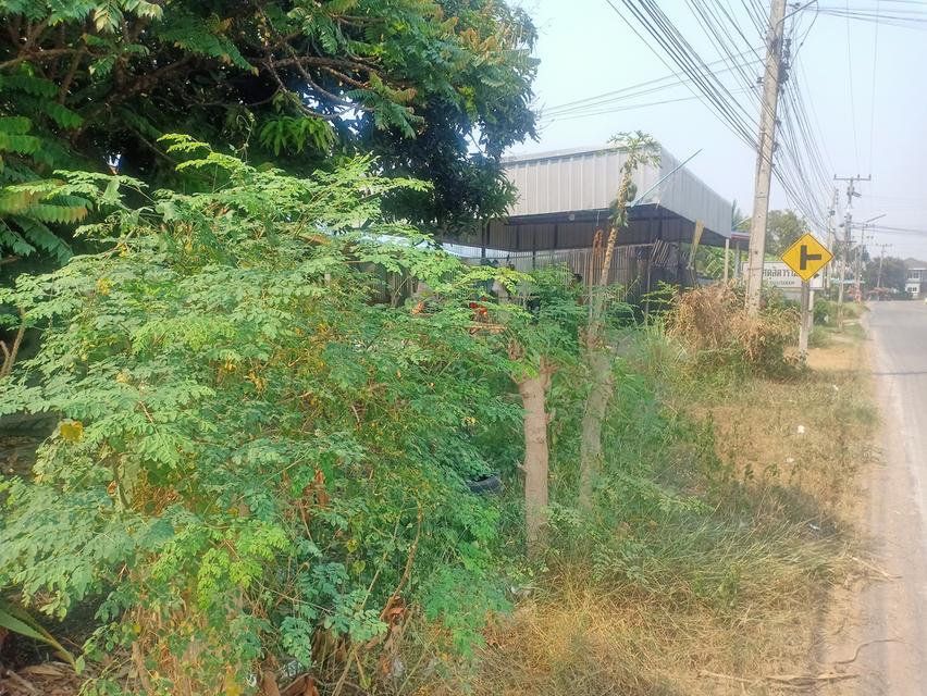 ที่ดินพร้อมบ้านราคาถูก🏡 1