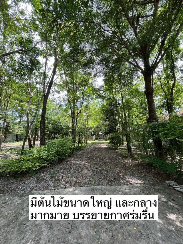 ขายบ้านสวน ซ.ท่ายายโหมด ถ.พุธมณฑล สาย 8 อ. สามพราน จ. นครปฐม 2