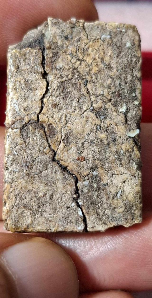 พระสมเด็จวัดบางขุนพรหม รูปที่ 2