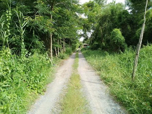 ที่ดินเปล่า 100 ตร.ว. พหลโยธิน87 ซอย6 ต.ประชาธิปัตย์ อ.ธัญบุรี จ.ปทุมธานี