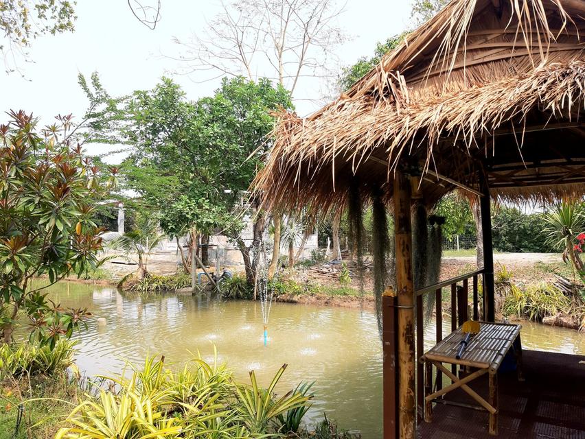 ที่ดินบ้านโป่ง จ.ราชบุรี ใกล้ทางด่วนสาย 81 บางใหญ่-กาญจนบุรี ที่ดินติดน้ำ โฉนดครุฑแดง พร้อมโอนกรรมสิทธิ์ 12