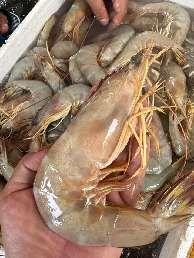 กุ้งแช่บ๊วย ขนาดใหญ่ 2