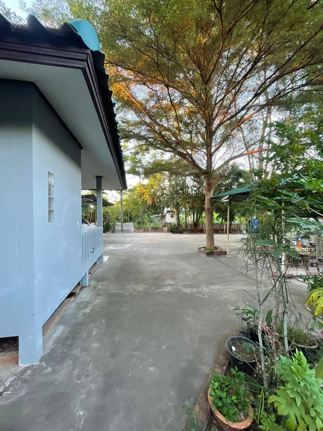 บ้าน และที่ดินจังหวัดโคราช 2