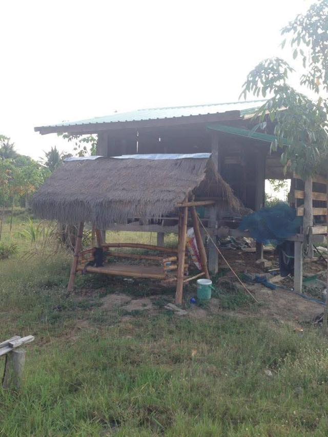 ขายที่ดิน อ.บางระกำ จ.พิษณุโลก 4