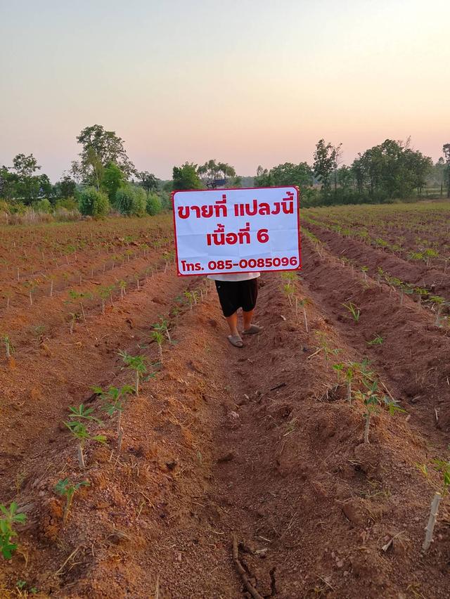 ขายที่ดิน จำนวน 6 ไร่ 1