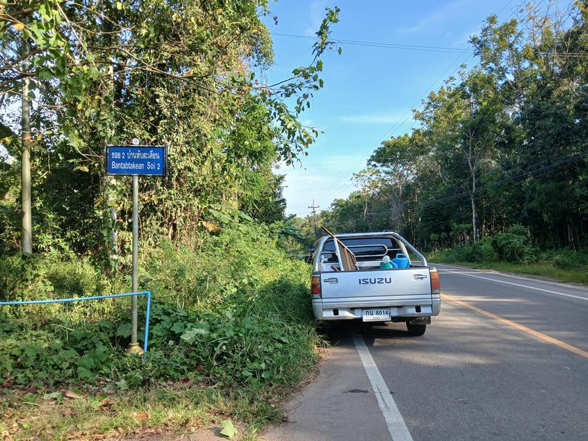 ขายที่ดินเปล่าโฉนด 1 งาน 14 ตร.ว. อยู่ในชุมชน ต.นาชะอัง อ.เมืองชุมพร ห่างศาลากลางจังหวัดเพียง 3 กม. ที่เนินปลอดภัยจากน้ำท่วม เจ้าของเองครับ 3