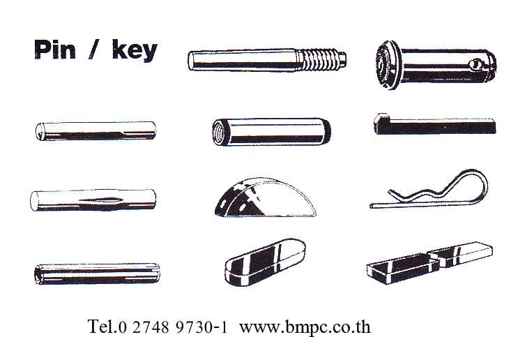 Dowel pin,Taper pin, Parallel pin, Grooved pin, Spring pin, Split pin, Cotter pin, Linch pin, Bright key, parllel key, Spiral pin 1