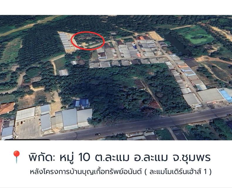 ที่ดิน ในเขตอำเภอละแม จังหวัดชุมพร 1