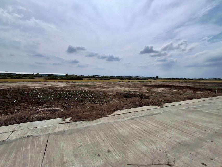 ขายที่ดินโกดังโรงงาน 11