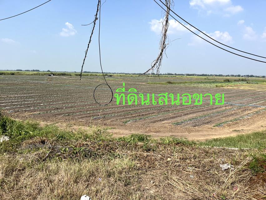 ขายที่ดินติดถนนสายอยุธยา อ่างทอง 083 610 6693 8