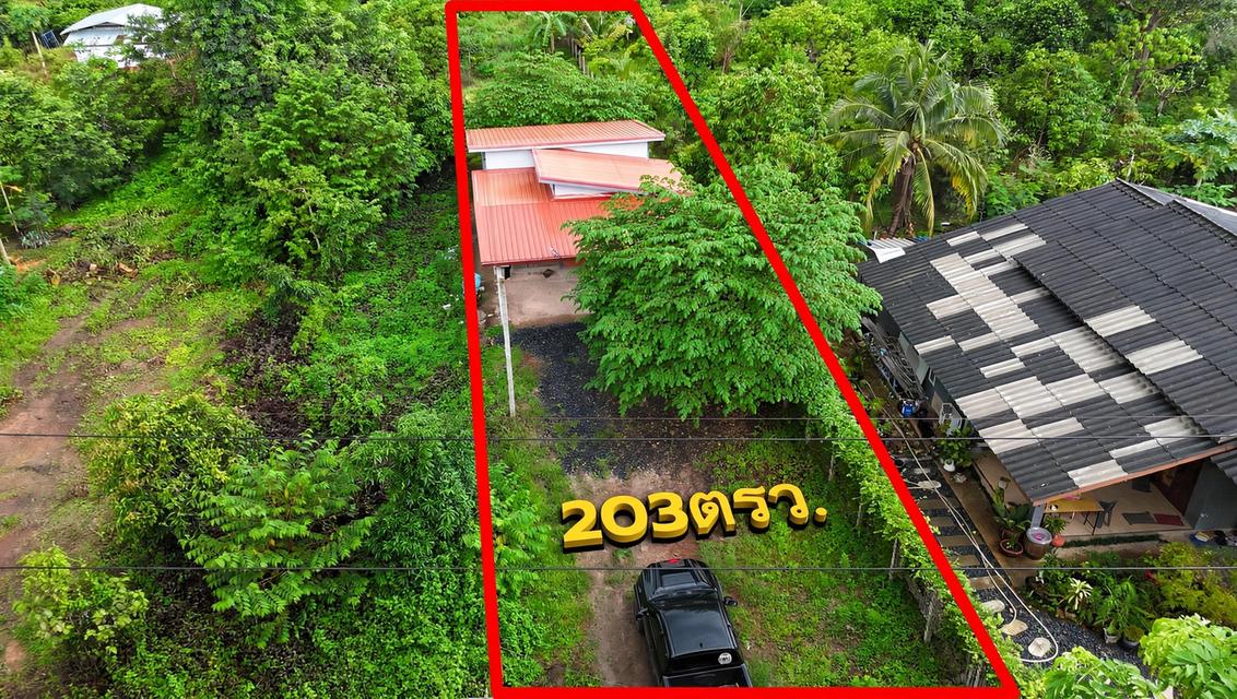 บ้านพร้อมที่ดิน203ตรว. 1