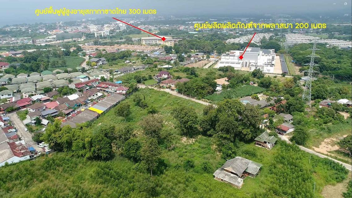 ขายที่ดินบางพระทำเลดีติดวิวเขา 8 ไร่(แบ่งขายได้)ซอยเทศบาล8 ติดอ่างเก็บน้ำบางพระใกล้ถ.สุขุมวิท3เพียง500เมตร อ.ศรีราชา ชลบุรี 3