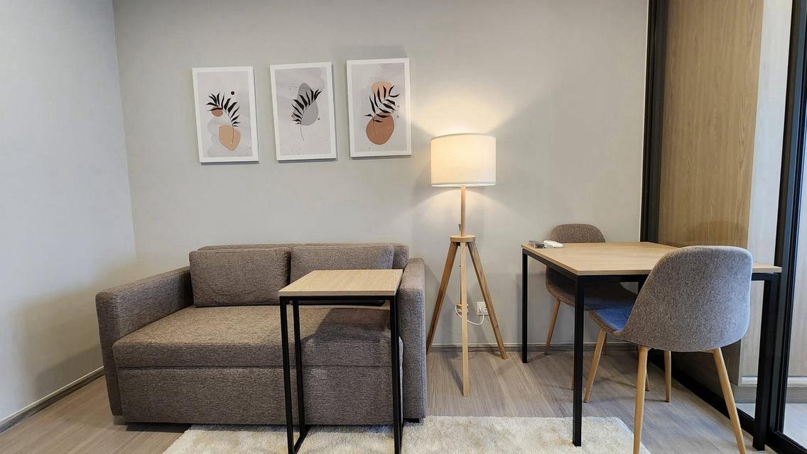 Condo the privacy s101 3