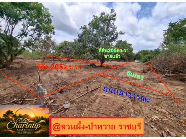 ขายที่ดิน 205 ตารางวา (นส.3ก.รอเดินสำรวจเอาโฉนด)ทำเลสวย อำเภอสวนผึ้ง จังหวัดราชบุรี 1