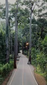 ทริปเชียงใหม่ แอ่วเมืองคอง ห้วยกุ๊บกั๊บ รูปที่ 6