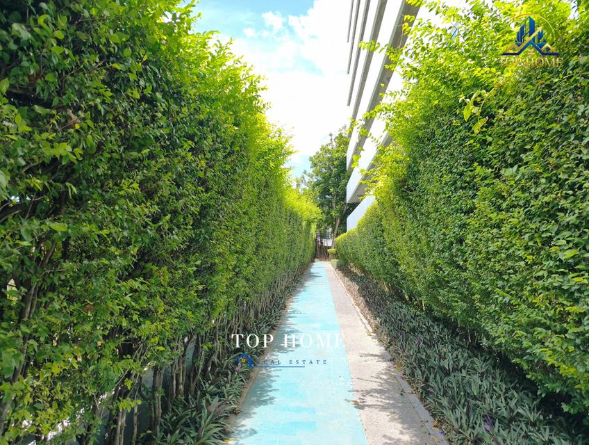 🏢 ขายด่วน❗️คอนโด แอสปาย สุขุมวิท 48 (Aspire Sukhumvit 48) #ห้องริม 4
