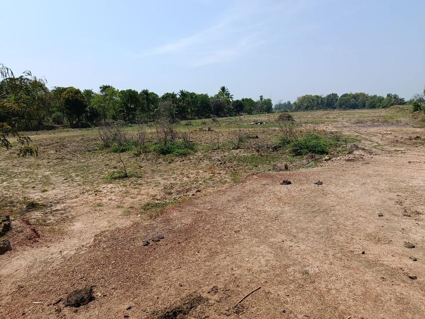 ที่ดิน 12 ไร่ อ.เมือง พิษณุโลก 3