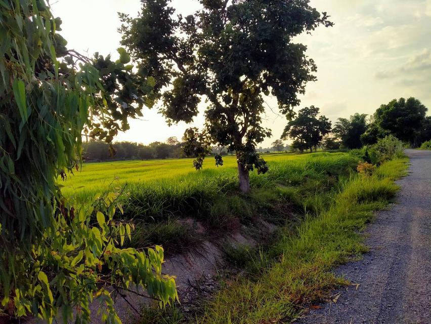 ที่สวย ๆ ไว้ เก็งกำไร ทำรีสอร์ท  เศรษฐกิจพอเพียง  หรือ แหล่งท่องเที่ยว 2