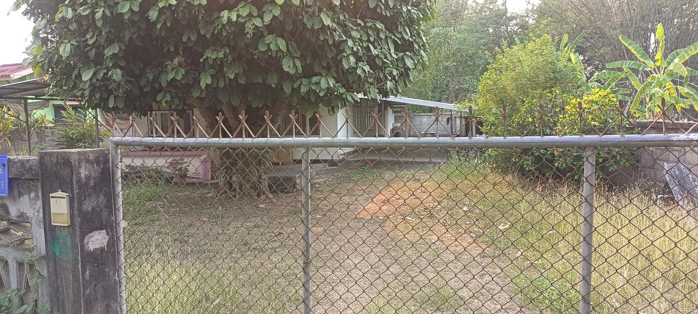 บ้านพร้อมที่ดิน หลุดสัญญาขายฝาก 3