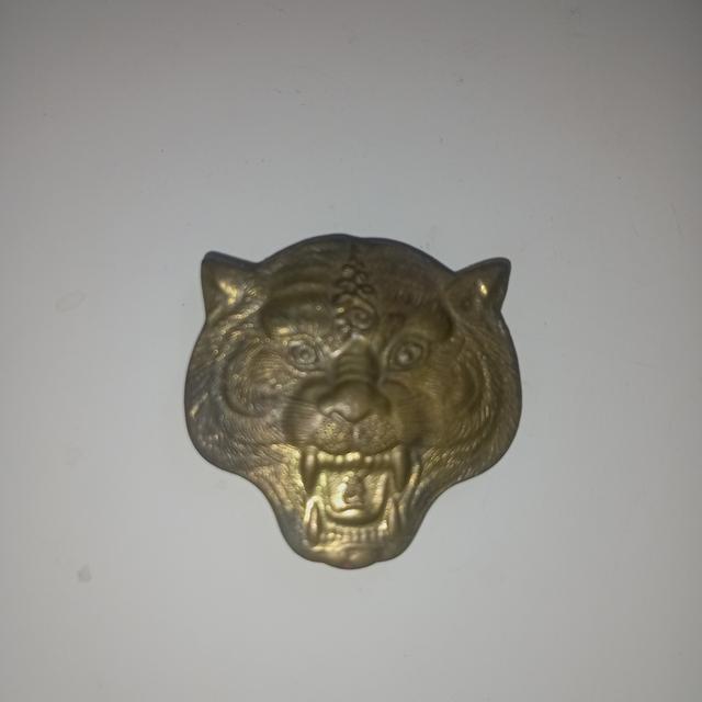 เหรียญหน้าเสือ หลังรูปเหมือนหลวงพ่อเปิ่น รุ่น1 3