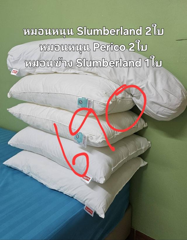 ชุดเครื่องนอน 5ฟุต 6 ฟุต ส่งต่อมือสอง สภาพดี ไม่มีตำหนิ Lotus, Satin, Jessica, Perico รูปที่ 7