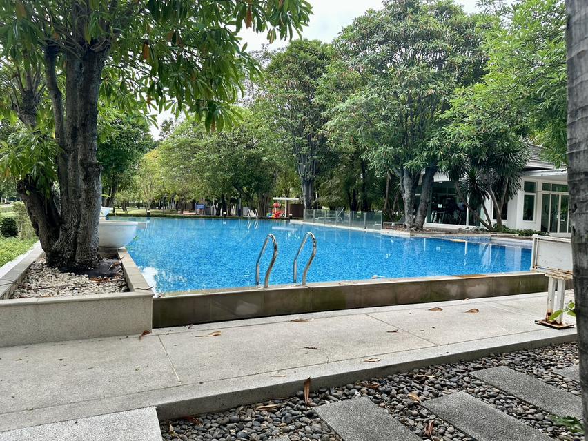 ขายบ้านเดี่ยว 2 ชั้น ม.ชัยพฤกษ์วัชรพล สายไหม ทำเลดี เดินทางสะดวก ใกล้รร.สารสาสน์วิเทศสายไหม 11