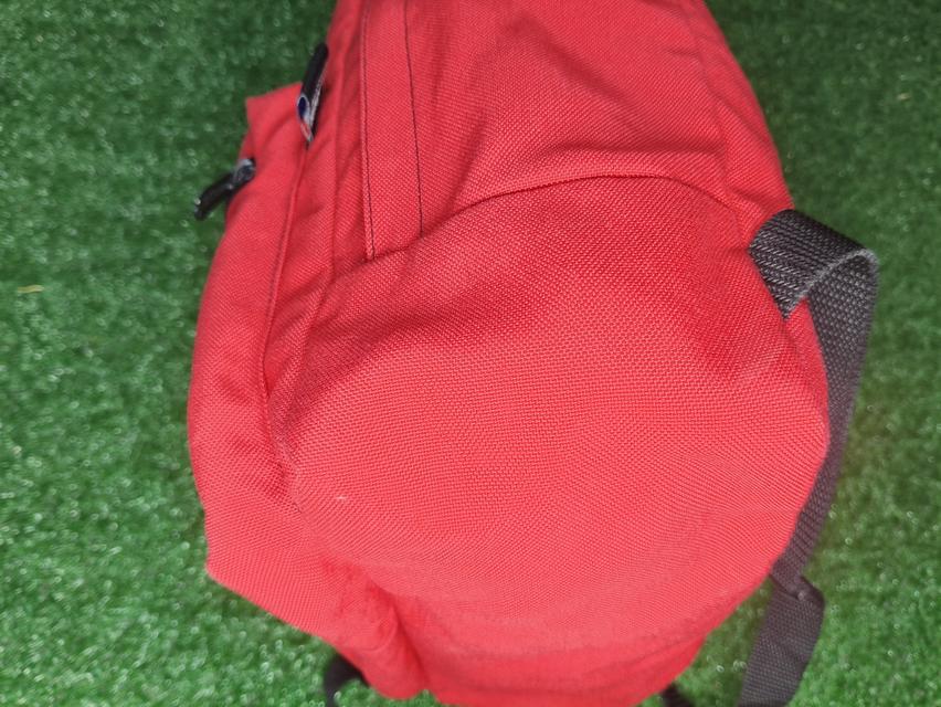 John Peters Backpack NY, USA รูปที่ 6