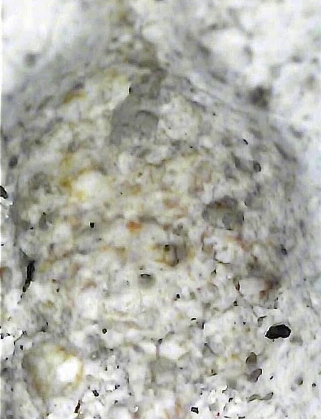 พระสมเด็จวัดระฆังพิมพ์ใหญ่เกศทะลุซุ้ม 19