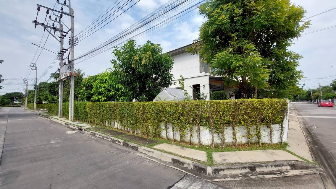 บ้านเดี่ยวพร้อมเข้าอยู่ มีบริเวณ โครงการดี นนทบุรี ใกล้ศาลายา      15