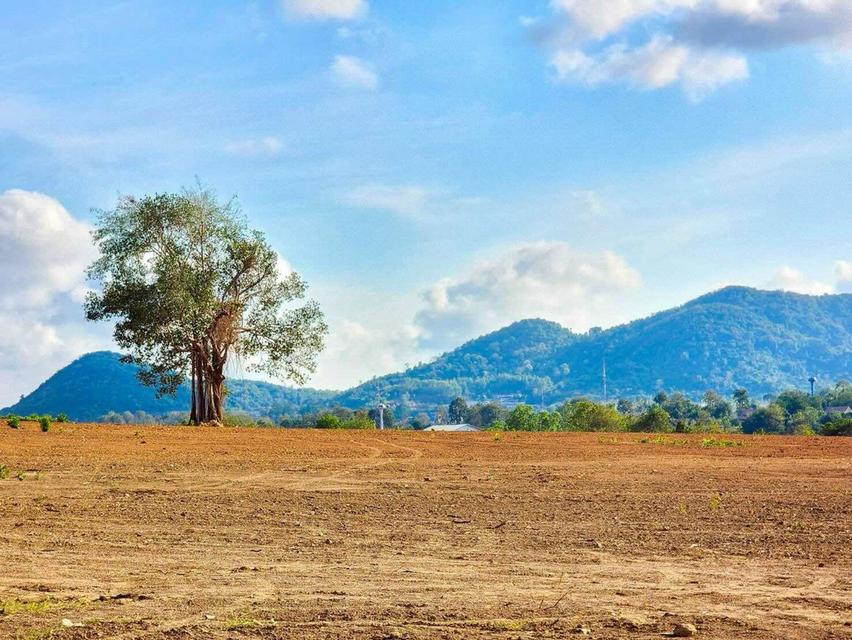 ขายที่ดินทำเลศักยภาพ ในอนาคตรถไฟฟ้าความเร็วสูงผ่าน และสนามบินนานาชาติอู่ตะเภา 3