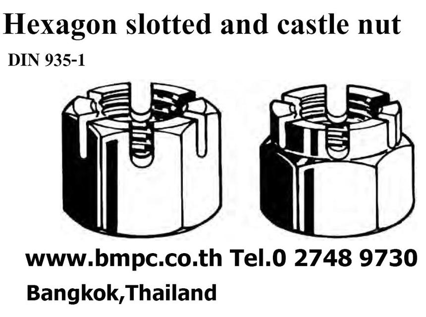 Self lock nut, Prevailing torque nut, Plastic insert nut, Jam lock nut nylon insert, Ribb lock nut รูปที่ 3