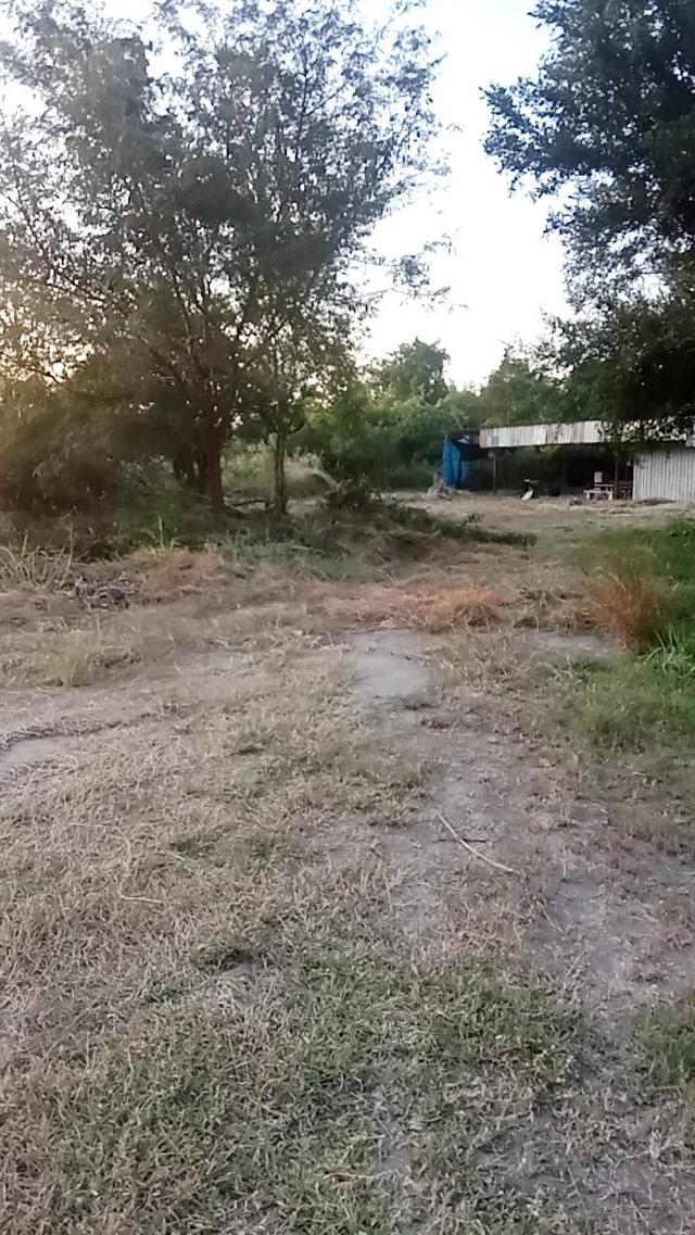 ขายที่ดิน 5 ไร่ ทำเลทองหนองตำลึง ใกล้นิคมอมตะนคร 6