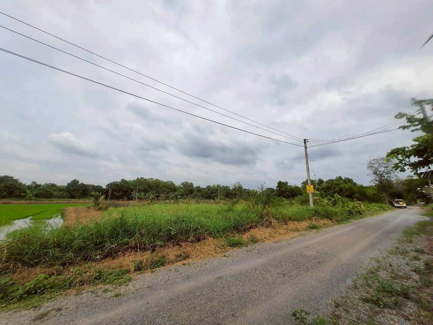 Vายถูกที่ดินคลองหก 520 ตารางวา ติดถนนสาธารณะซอย คลองหก ตต.31/1 อ.คลองหลวง จ.ปทุมธานี 5