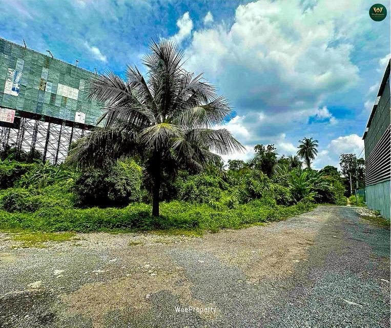 Land for Investment | ที่ดินศักยภาพสูง ติดถนนนครอินทร์ – บางกรวย นนทบุรี 5