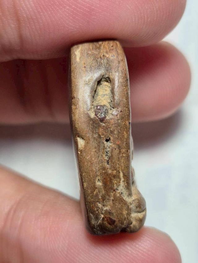 ซุ้มกอ เปิดแบ่งปันจ้า รูปที่ 2