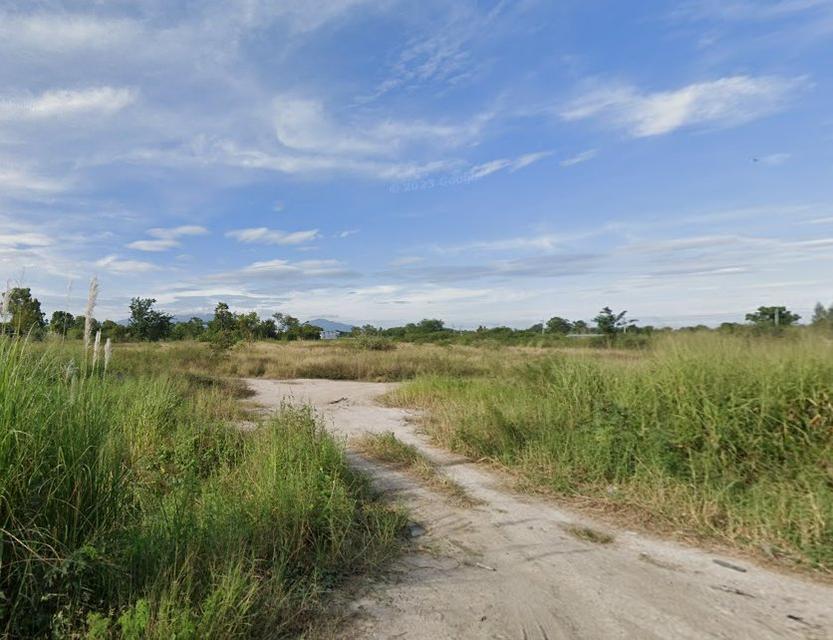 ขายที่ดินหนองบอนแดง 4 ไร่ ถมแล้วเหมาะทำโกดังโรงงาน ใกล้ถ.วิฑูรดำริ-900เมตร อ.บ้านบึง ชลบุรี