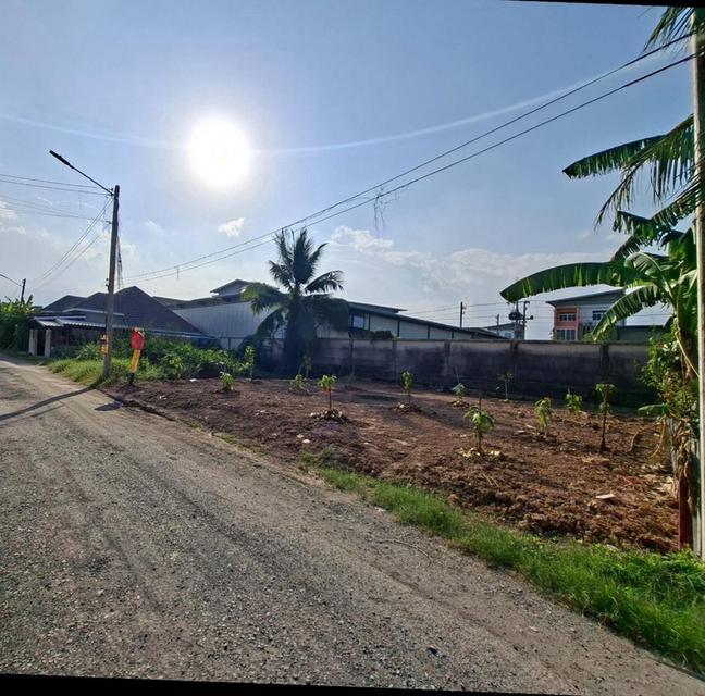 ขายที่ดินเปล่า ซอยชุมชนทหารบก คลอง9 ลำลูกกา 5