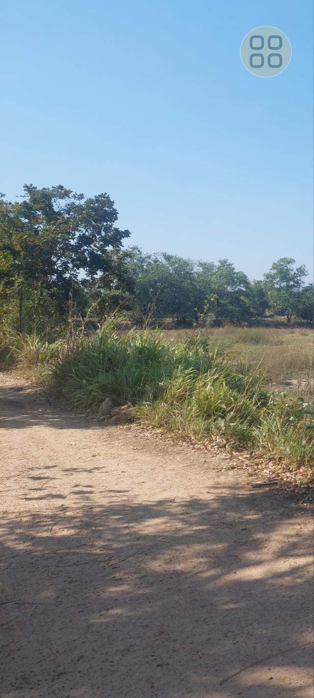 ที่ดินเปล่าเหมาะทำธุรกืจ รูปที่ 2