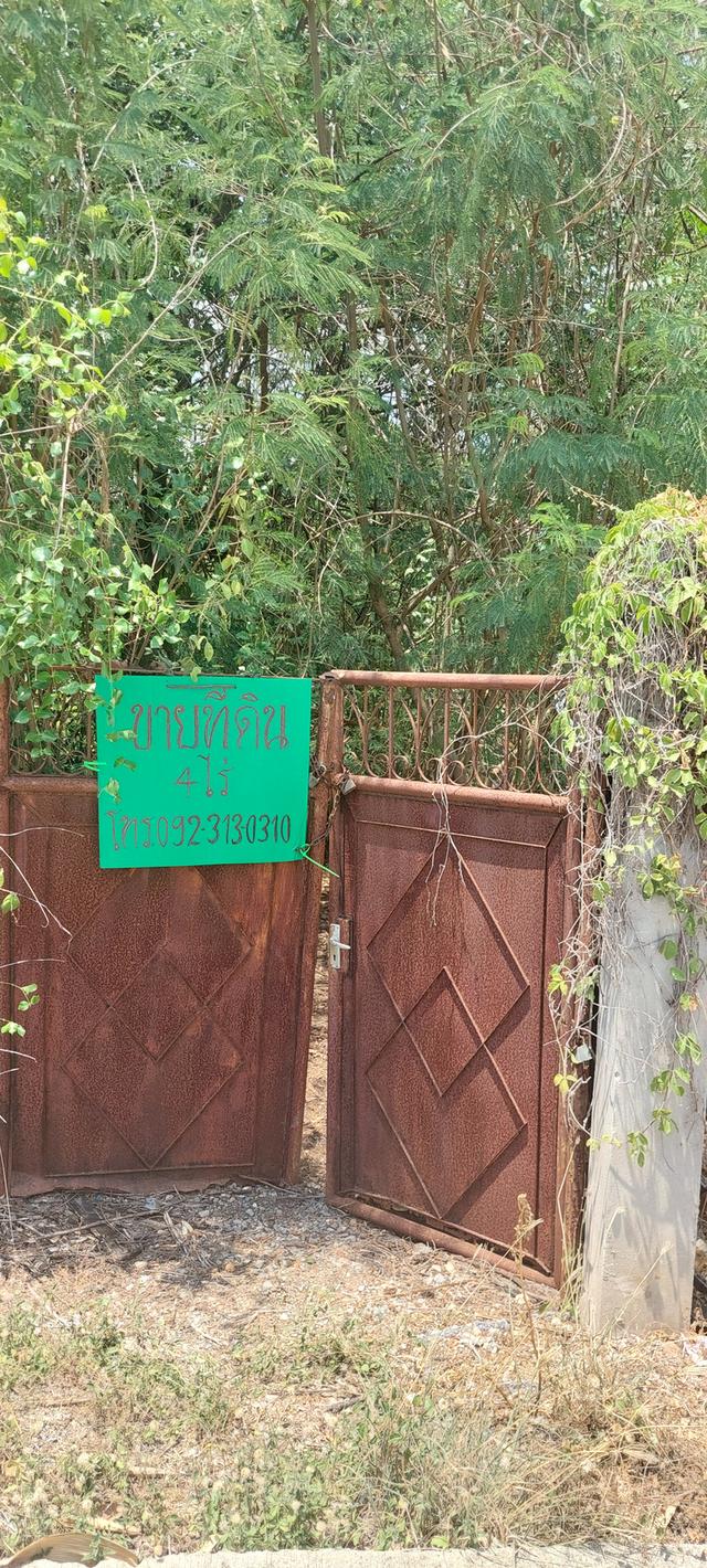 ขายที่ดิน 4 ไร่ ไทยน้อย ใกล้ อบต หนองเพรางาย/ใกล้ถนนหลัก ถนนผ่านหน้าที่ ราคาดี 6
