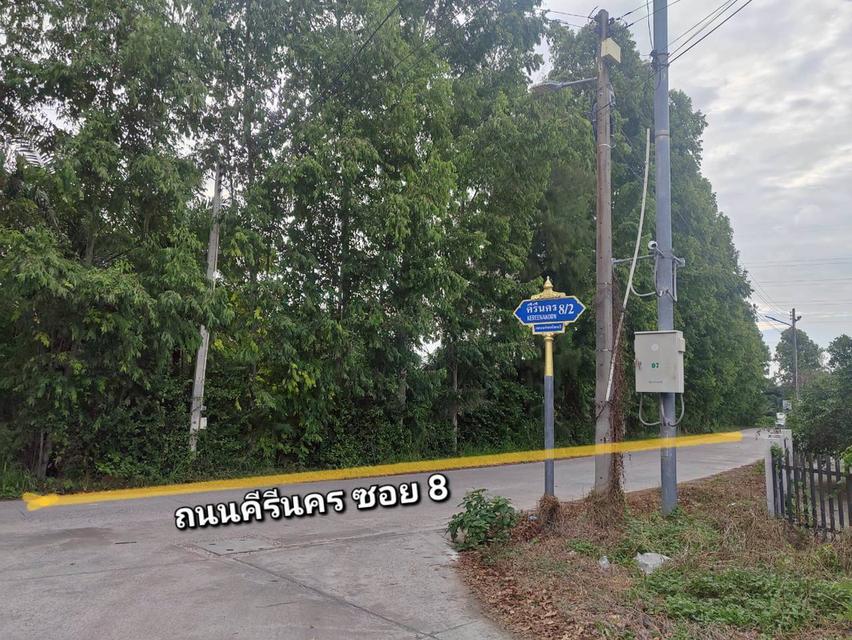 ขายที่ดินเปล่า 11 ไร่เศษ ริมถนนคีรีนครซอย 8 เมืองชลบุรี 3