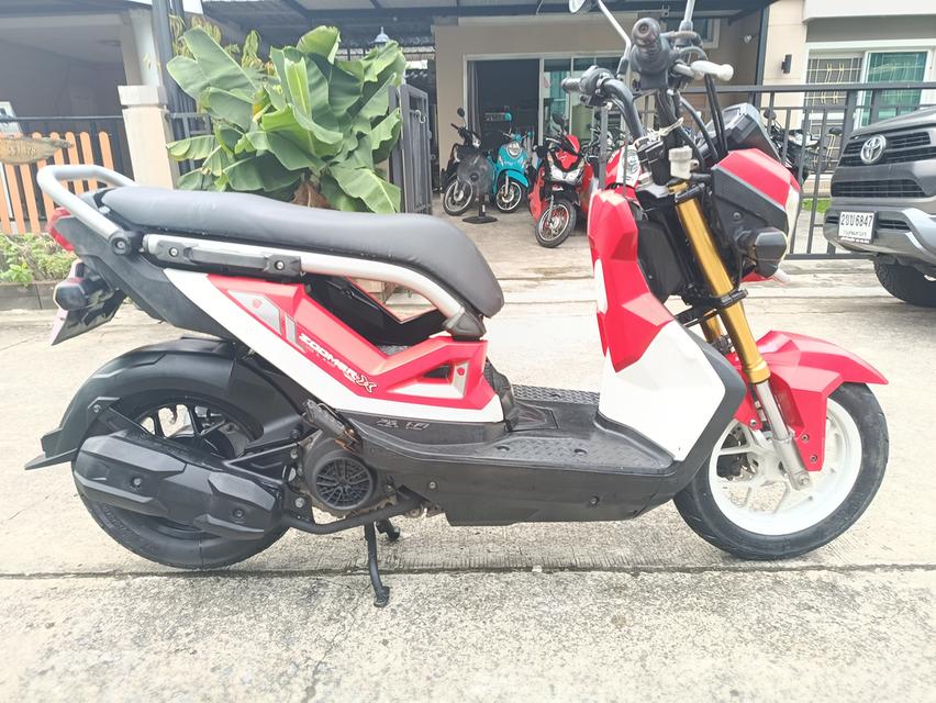 Zoomer -x  11